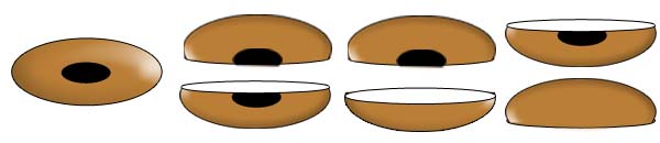 Curso de Criação de Atividades Didáticas Jogo dos Feijões