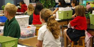 Verdades sobre Disciplina