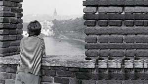 Tragédia Maior que a Minha