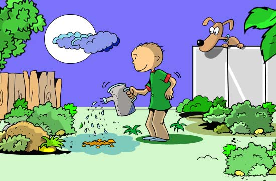 Contos Infantis Ilustrados - A Árvore Mágica