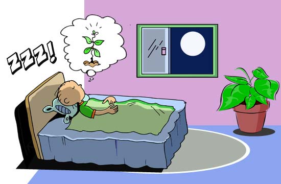 Contos Infantis Ilustrados - A Árvore Mágica