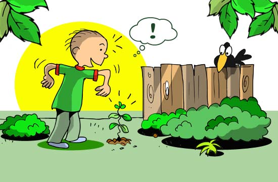 Contos Infantis Ilustrados - A Árvore Mágica