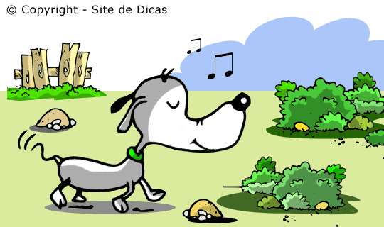 Contos Infantis sem Texto - O Cachorrinho que Viu uma Coisa