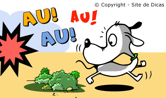 Contos Infantis sem Texto - O Cachorrinho que Viu uma Coisa