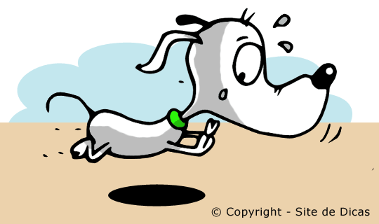 Contos Infantis sem Texto - O Cachorrinho que Viu uma Coisa