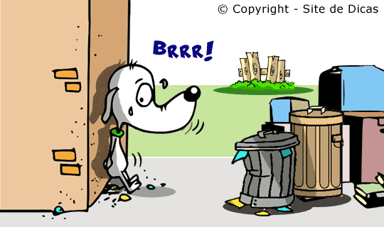 Contos Infantis sem Texto - O Cachorrinho que Viu uma Coisa