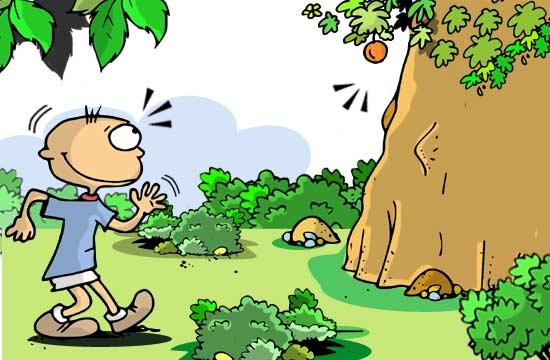 Contos Infantis sem Texto - O Menino e a Fruta