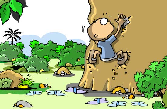 Contos Infantis Ilustrados - O Menino e a Fruta