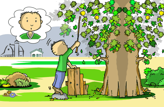 Contos Infantis Ilustrados - O Menino que Descobriu uma Coisa