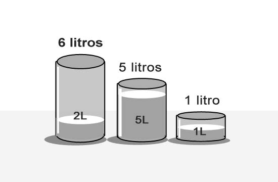 Enigmas Lógicos Ilustrados para Gênios - Na Medida Certa