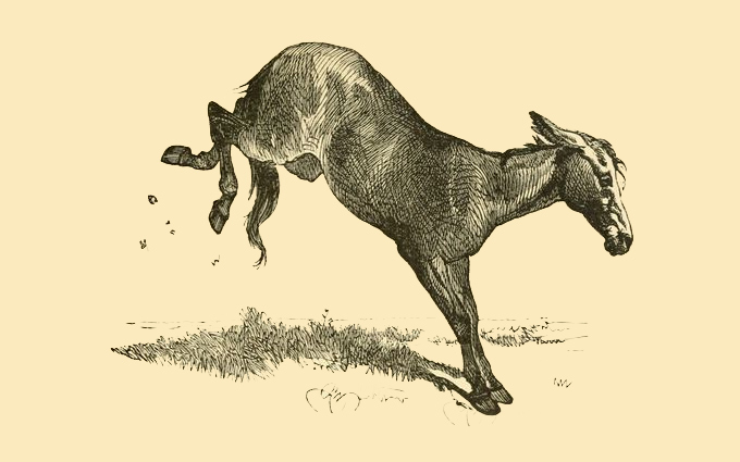 Fábulas de Esopo Ilustradas - A Mula Vaidosa Fábulas de Esopo Ilustradas - A Mula Vaidosa