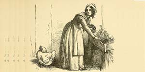 A Mulher que possuía uma Galinha