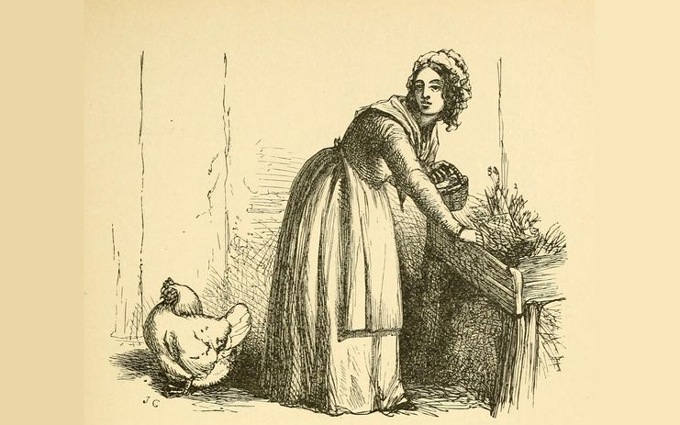 Fábulas de Esopo Ilustradas - A Mulher que Possuía uma Galinha Fábulas de Esopo Ilustradas - A Mulher que Possuía uma Galinha