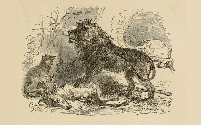 Fábulas de Esopo Ilustradas - A Partilha do Leão Fábulas de Esopo Ilustradas - A Partilha do Leão