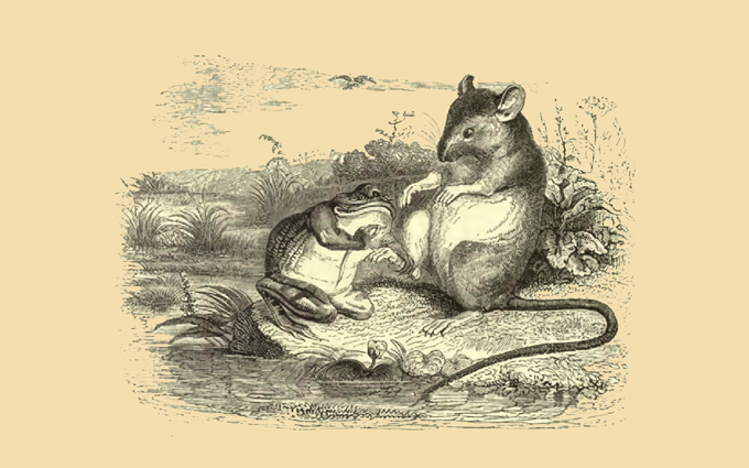 Fábulas de Esopo Ilustradas - A Rã e o Rato Fábulas de Esopo Ilustradas - A Rã e o Rato