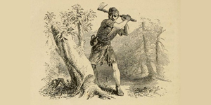 As Árvores e o Machado