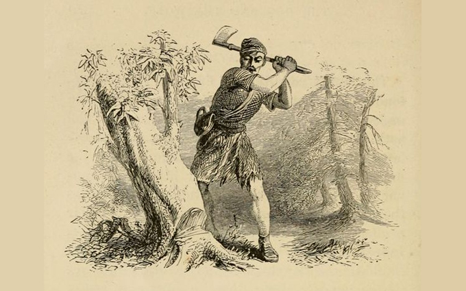 Fábulas de Esopo Ilustradas - As Árvores e o Machado Fábulas de Esopo Ilustradas - As Árvores e o Machado