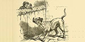 O Ladrão e o Cão de Guarda