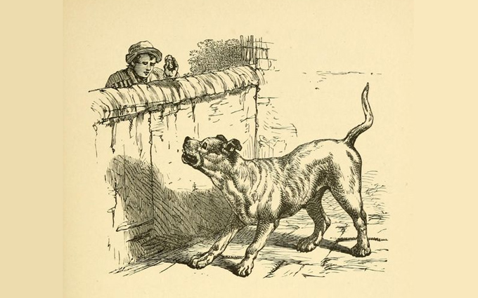 Fábulas de Esopo Ilustradas - O Ladrão e o Cão de Guarda Fábulas de Esopo Ilustradas - O Ladrão e o Cão de Guarda