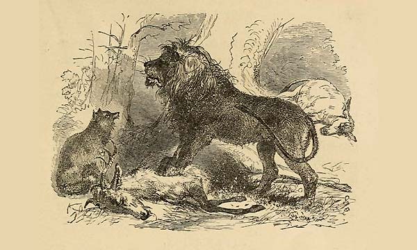 Fábulas de Esopo Ilustradas - O Leão, o Asno e a Raposa