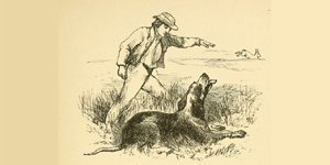 A Lebre e o Cão de Caça