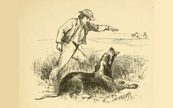 Fábulas de Esopo Ilustradas - A Lebre e o Cão de Caça Fábulas de Esopo Ilustradas - A Lebre e o Cão de Caça