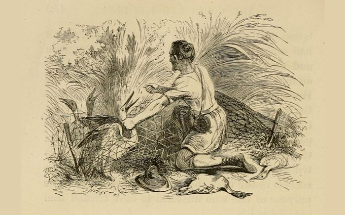 Fábulas de Esopo Ilustradas - O Agricultor e a Cegonha Fábulas de Esopo Ilustradas - O Agricultor e a Cegonha