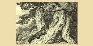 O Cachorro, o Galo e a Raposa