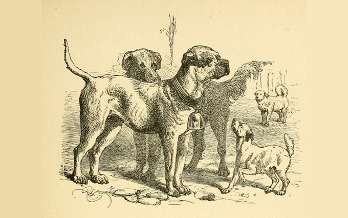 Fábulas de Esopo Ilustradas - O Cão Raivoso Fábulas de Esopo Ilustradas - O Cão Raivoso