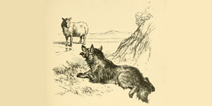 O Lobo e a Ovelha