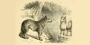 O Lobo e o Filhote de Ovelha