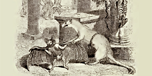 O Morcego e a Doninha