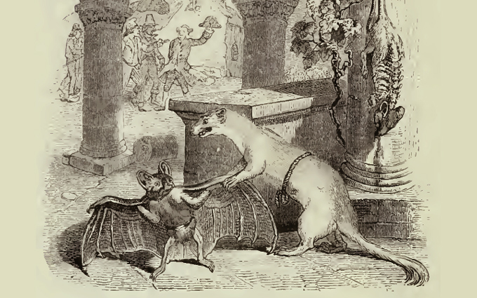 Fábulas de Esopo Ilustradas - O Morcego e a Doninha Fábulas de Esopo Ilustradas - O Morcego e a Doninha