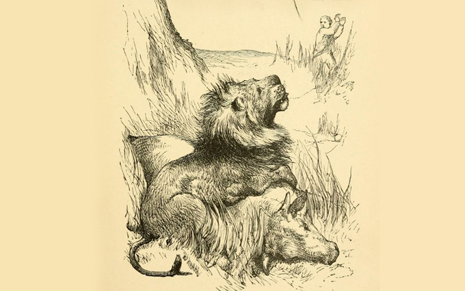 Fábulas de Esopo Ilustradas - O Pastor e o Leão Fábulas de Esopo Ilustradas - O Pastor e o Leão