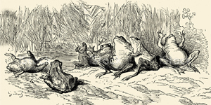 Os Garotos e as Rãs