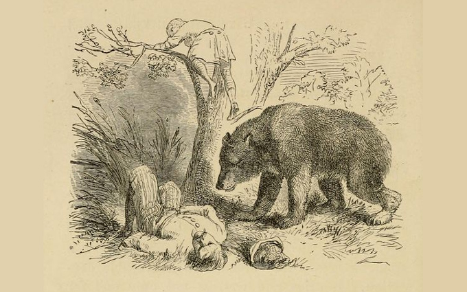 Fábulas de Esopo Ilustradas - Os Dois Viajantes e o Urso Fábulas de Esopo Ilustradas - Os Dois Viajantes e o Urso