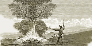 O Pastor e as Cabras Selvagens